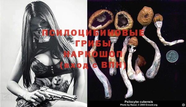 тгк Наволоки