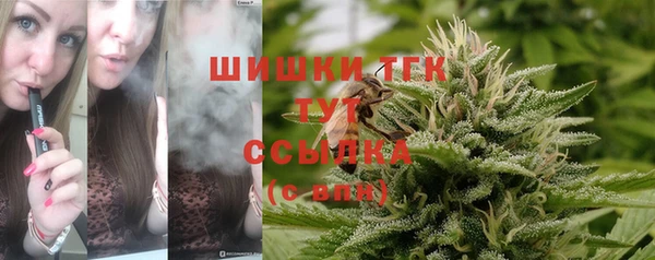 молекула духа Навашино