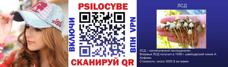 Купить  Алексеевка  Галлюциногенные грибы Magic Shrooms 